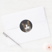 Tabby kat met groene ogen tegen zwarte achtergrond ronde sticker (Envelop)