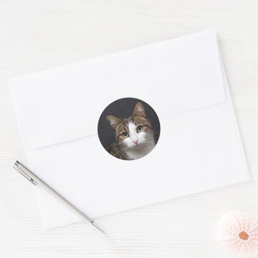 Tabby kat met groene ogen tegen zwarte achtergrond ronde sticker (Envelop)