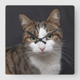 Tabby kat met groene ogen tegen zwarte achtergrond vierkante klok