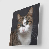 Tabby kat met groene ogen tegen zwarte achtergrond vierkante klok (Hoek)
