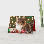 Tabby kat met kerst ornamenten feestdagen kaart (Voorkant)