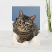 Tabby kat met oogbril kaart (Voorkant)