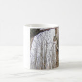 Tabby Kat Mok (Center)