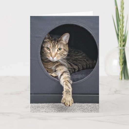 Tabby Kat Nieuwjaarsresolutie Kaart (Voorkant)