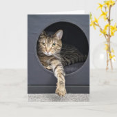 Tabby Kat Nieuwjaarsresolutie Kaart (Gele Bloem)