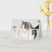 tabby kat op vensterverjaardag kaart (Gele Bloem)