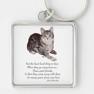Tabby Kat Regenboogbrug Sleutelhanger