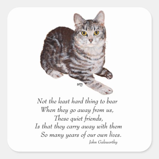 Tabby Kat Regenboogbrug Vierkante Sticker (Voorkant)
