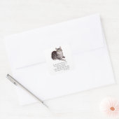 Tabby Kat Regenboogbrug Vierkante Sticker (Envelop)