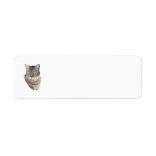 Tabby Kat Retouradreslabels Etiket