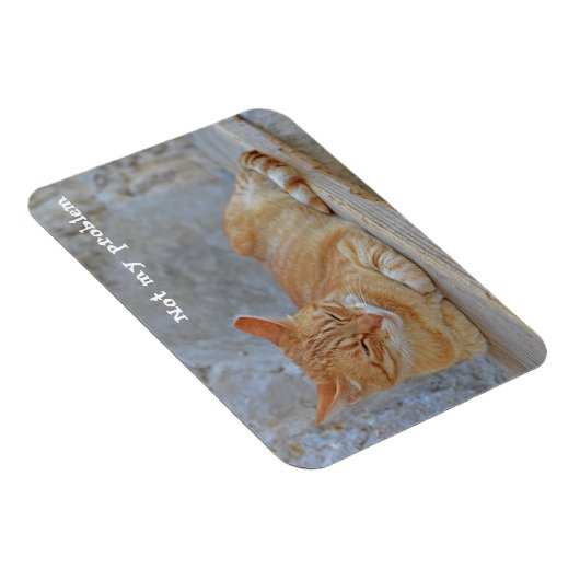 Tabby kat rust in Dubrovnik Niet mijn probleem! Magneet (Rechterzijde)