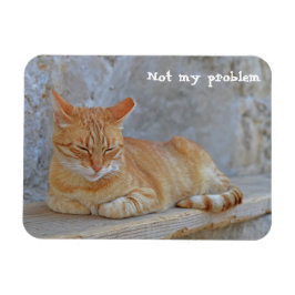 Tabby kat rust in Dubrovnik Niet mijn probleem! Magneet