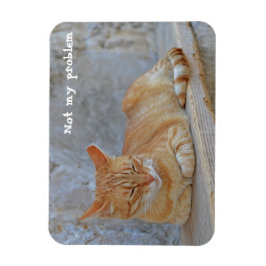 Tabby kat rust in Dubrovnik Niet mijn probleem! Magneet