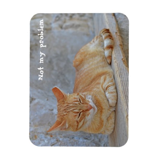 Tabby kat rust in Dubrovnik Niet mijn probleem! Magneet (Verticaal)