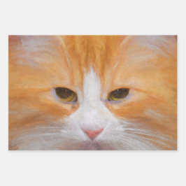 Tabby Kat Sinaasappel Wit Schattige Fluffy Mooi Inpakpapier Vel