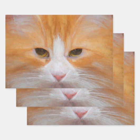 Tabby Kat Sinaasappel Wit Schattige Fluffy Mooi Inpakpapier Vel (Set)