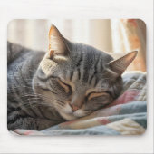 Tabby kat slapen op oude quilt muismat (Voorkant)