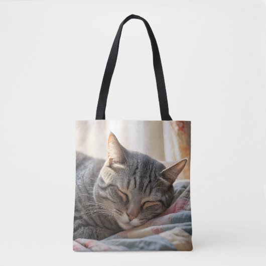 Tabby kat slapen op oude quilt tote bag (Voorkant)