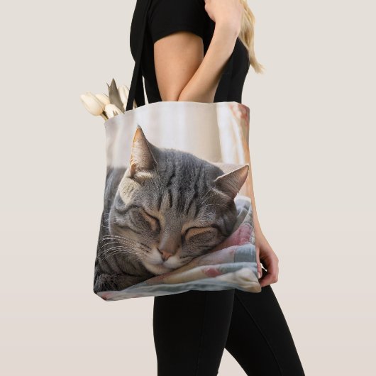 Tabby kat slapen op oude quilt tote bag (Dichtbij)