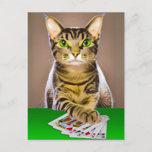 Tabby Kat Spelen Poker Briefkaart