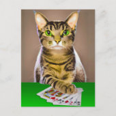 Tabby Kat Spelen Poker Briefkaart (Voorkant)