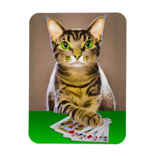 Tabby Kat Spelen Poker Magneet
