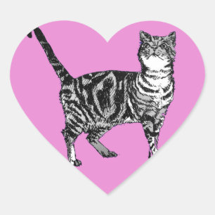 Tabby Kat Stickers Roze katten Stickers Set
