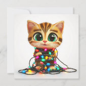 Tabby Kat verpakt in Holiday Lights Holiday Kaart (Voorkant)