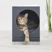 Tabby kat vriendschap kaart (Voorkant)