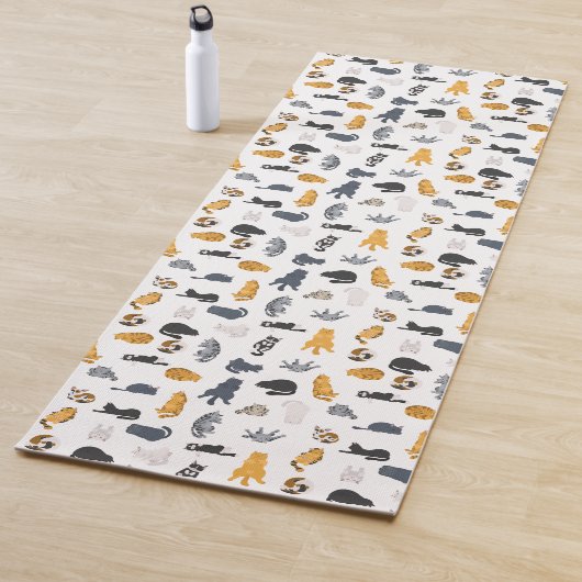 Tabby katten doen yoga mat (In situ)