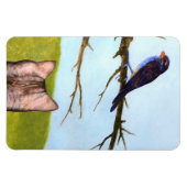 Tabby katten praten met vogels magneet (Horizontaal)