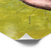 Tabby katten praten met vogels perfect poster (Hoek)