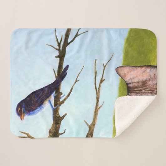 Tabby katten praten met vogels sherpa deken (Voorkant (horizontaal))