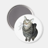 Tabby kattenmagneet magneet (Voorkant / Achterkant)