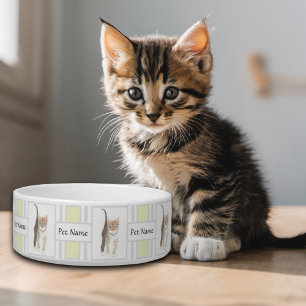 Tabby Kiddy Kat Kom