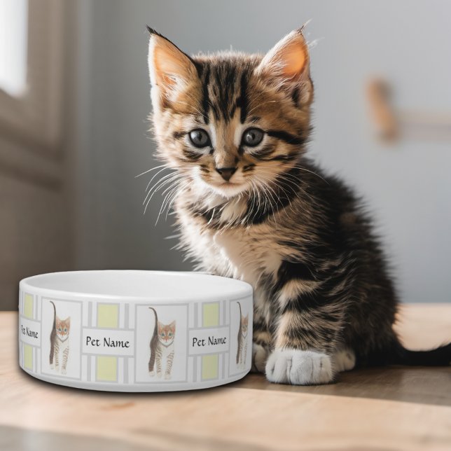 Tabby Kiddy Kat Kom (Creator heeft geüpload)