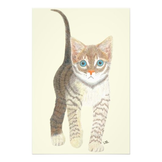 Tabby Kitten 24x36 Poster (Voorkant)