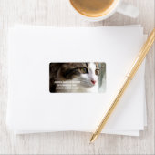 Tabby Kitten Adresetiketten Etiket (Insitu)
