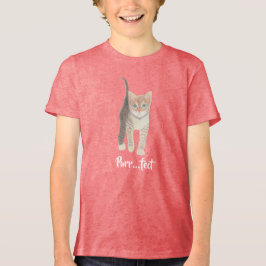 Tabby Kitten Baby Girl's Tri-Blend Shirt