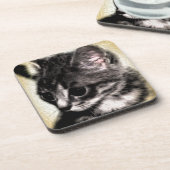 Tabby Kitten Bier Onderzetter (Linkerzijde)