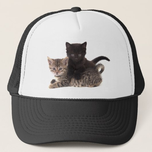 tabby kitten black kitten trucker pet (Voorkant)