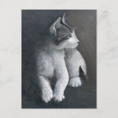 Tabby Kitten briefkaart (Voorkant)