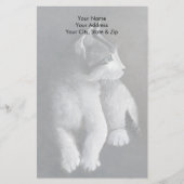 Tabby Kitten Briefpapier (Voorkant)