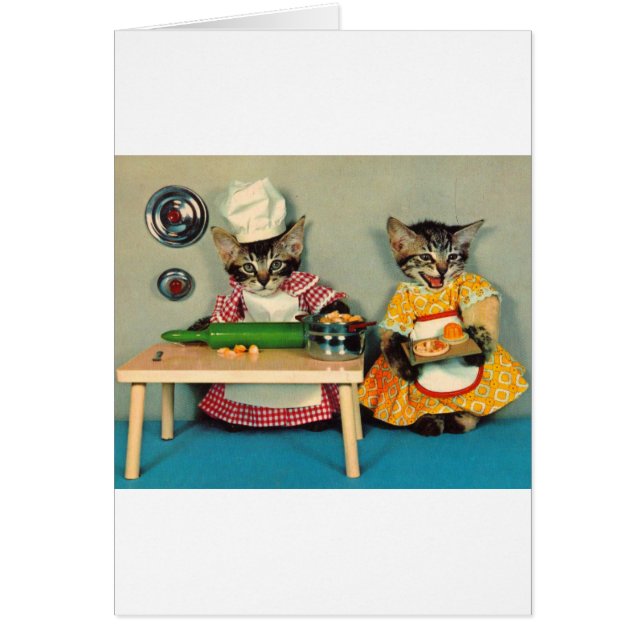 tabby kitten chef. en tabby kitten assistent (Voorkant)
