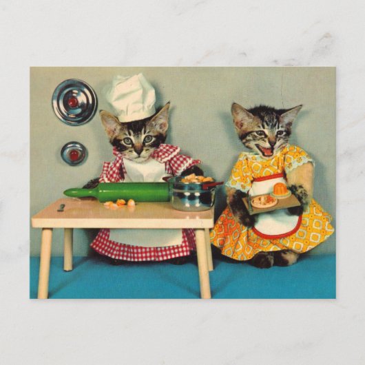 tabby kitten chef. en tabby kitten assistent briefkaart (Voorkant)