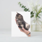 tabby kitten die likt briefkaart (Staand voorkant)