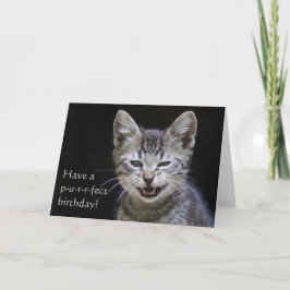Tabby Kitten Happy Birthday Kaart