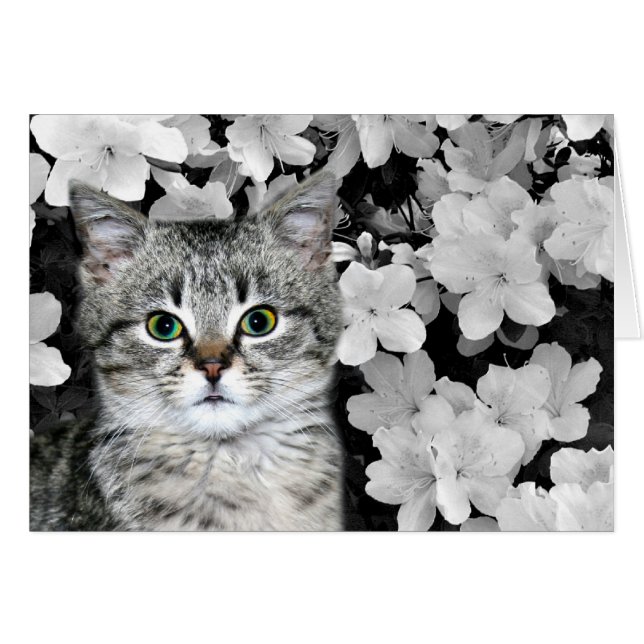 Tabby kitten in azaleas (Voorkant Horizontaal)