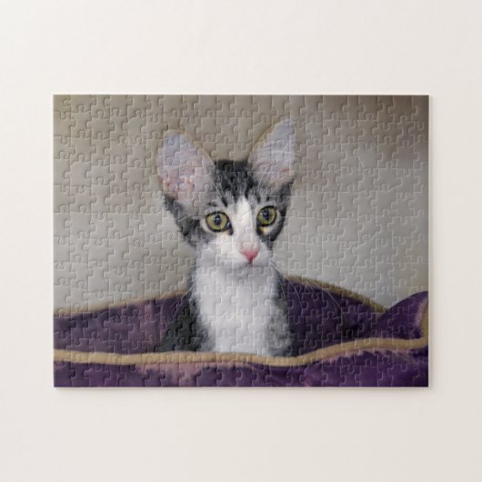 Tabby Kitten in een Paars bed Legpuzzel (Horizontaal)