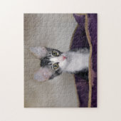 Tabby Kitten in een Paars bed Legpuzzel (Verticaal)